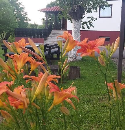 Guest House Antonela Smoljanac Εξωτερικό φωτογραφία
