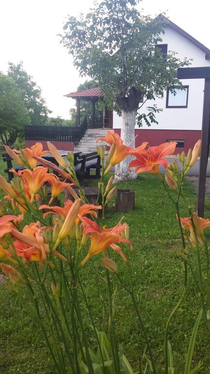 Guest House Antonela Smoljanac Εξωτερικό φωτογραφία