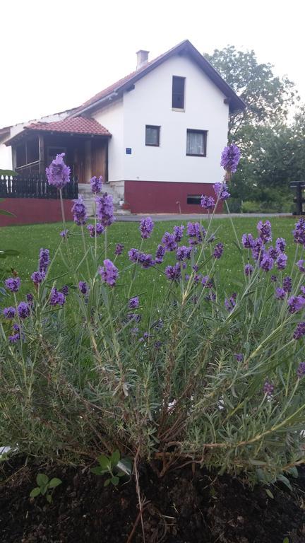 Guest House Antonela Smoljanac Εξωτερικό φωτογραφία