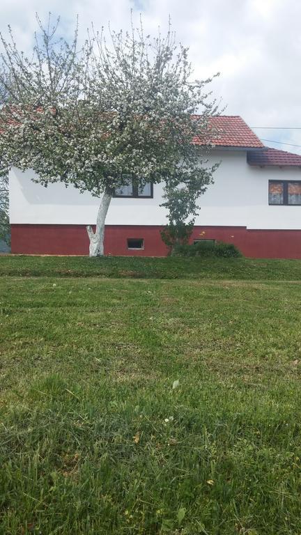 Guest House Antonela Smoljanac Εξωτερικό φωτογραφία